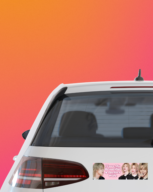 Car Magnets/Stickers