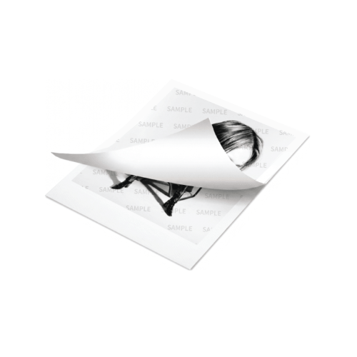 (9/26) preorder EVAN MD [DEATH OF ME] Peel-off Instant Photo