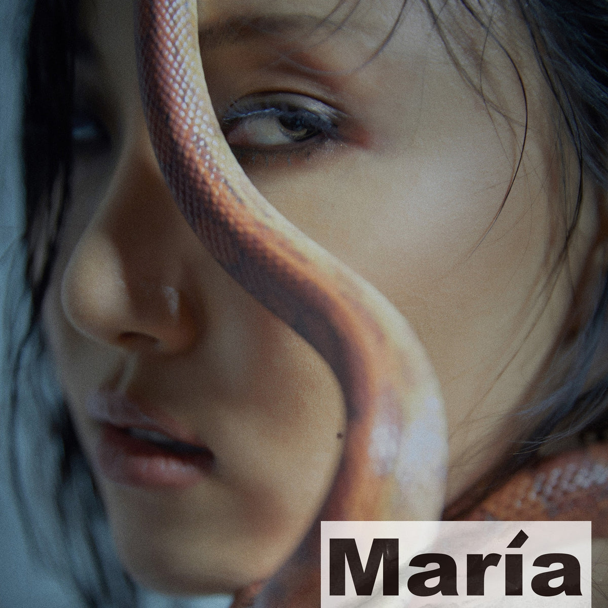 HWASA - 1st Mini Album [María]