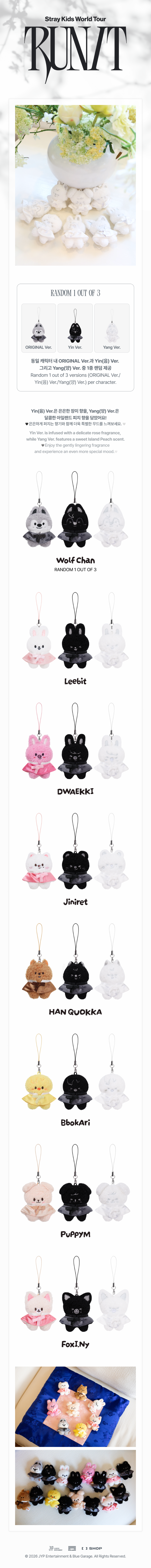 PRE-ORDER Stray Kids MD [RUN IT] SKZOO SECRET PLUSH MICRO Ver.