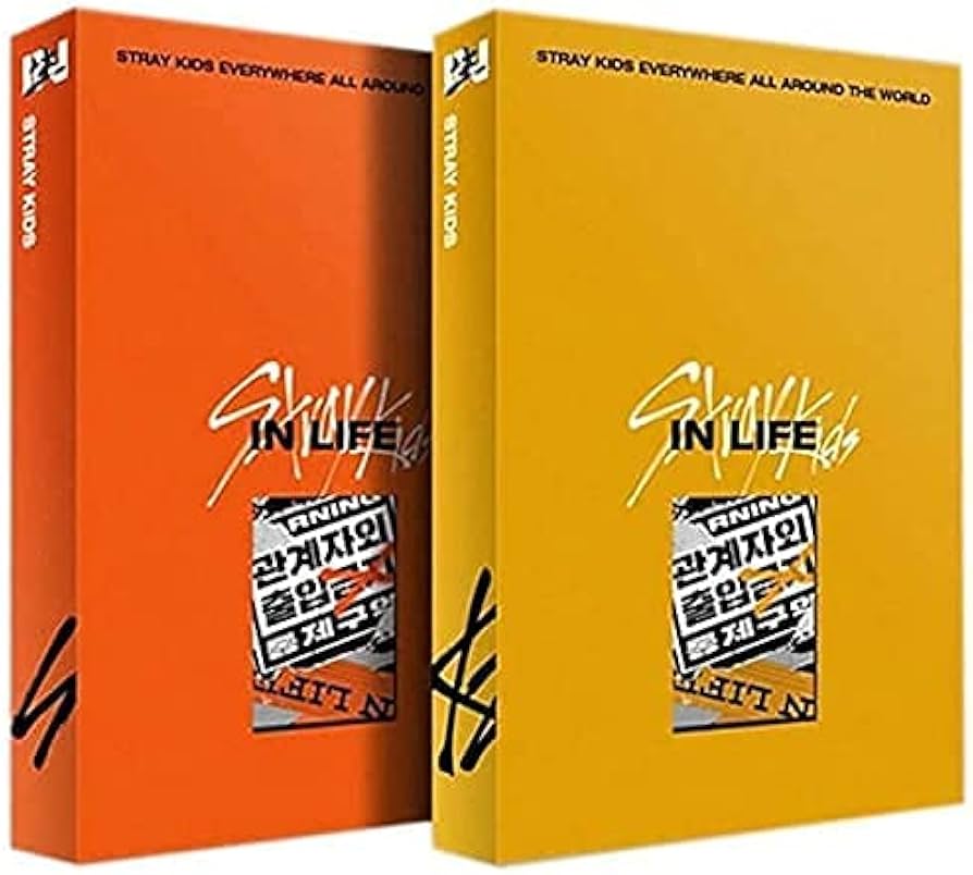 Stray Kids - [In生 (In Life)] 1st Album Repackage NORMAL RANDOM Version