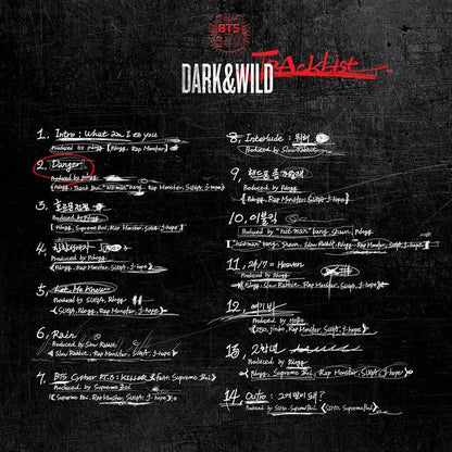 BTS - [DARK & WILD] 1st Album