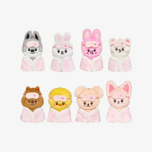 10CM VER STRAY KIDS - STAY IN OUR LITTLE HOUSE 6TH FANMEETING OFFICIAL MD SKZOO PLUSH