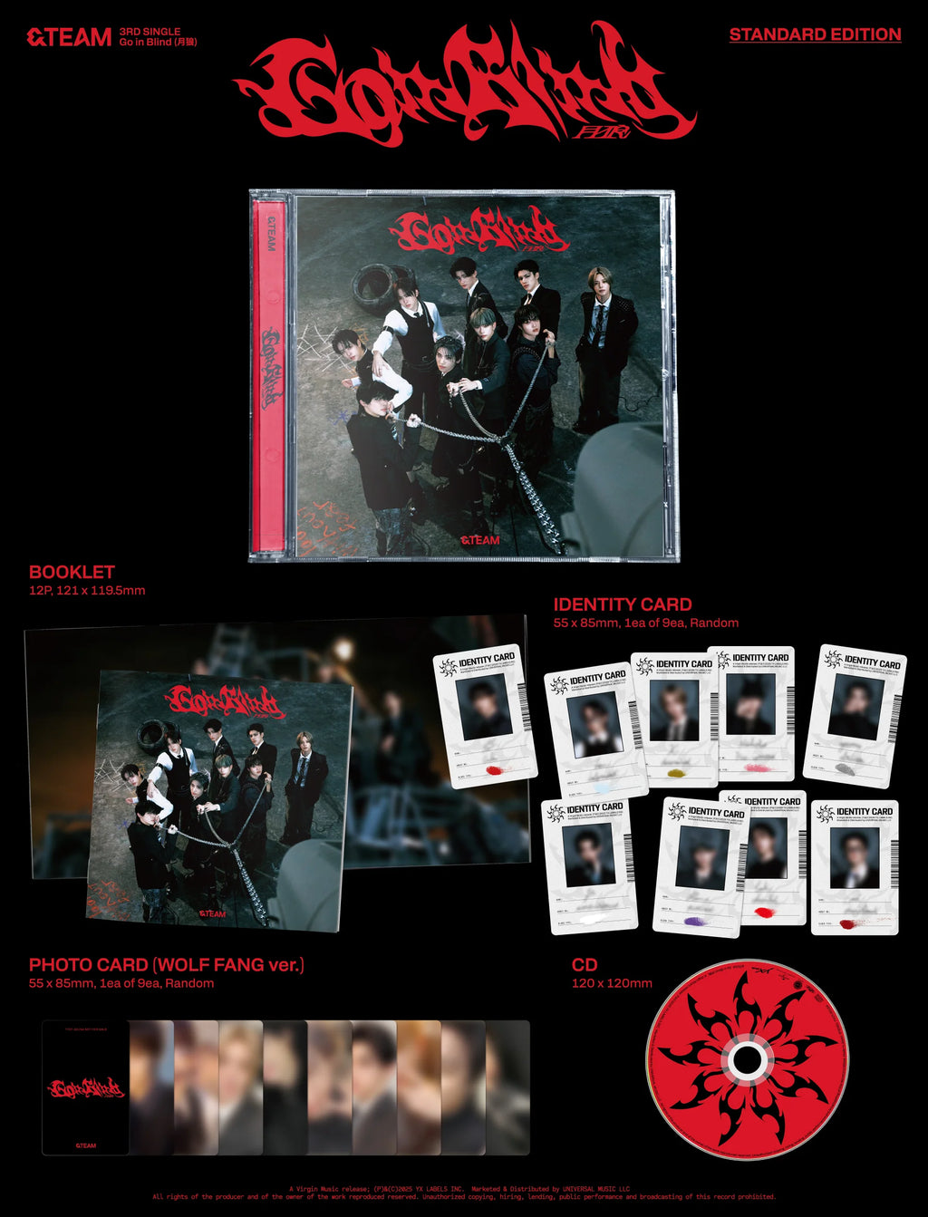 &TEAM - 3rd Single [Go in Blind] STANDARD EDITION