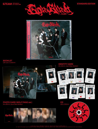 &TEAM - 3rd Single [Go in Blind] STANDARD EDITION