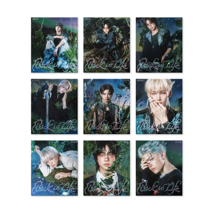 &TEAM - [BACK TO LIFE] KR 1st Mini Album ROAR RANDOM Version