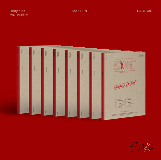 STRAY KIDS - [MAXIDENT] CASE Edition